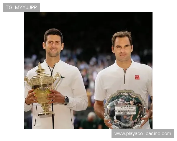 伊万尼塞维奇与罗迪克在2001年温网第三轮的经典对决 伊万尼塞维奇与罗迪克在2001年温网第三轮的经典对决